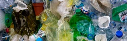 Photo of Plastic Bottles