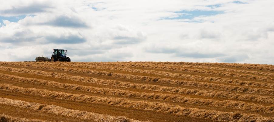 A tractor in a field

Description automatically generated