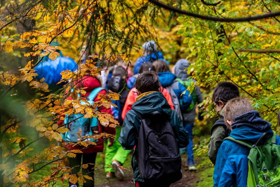 A group of school children walking in an autumnal woods.