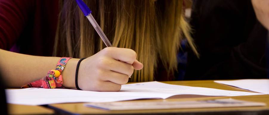 A hand holding a pen
Description automatically generated with medium confidence